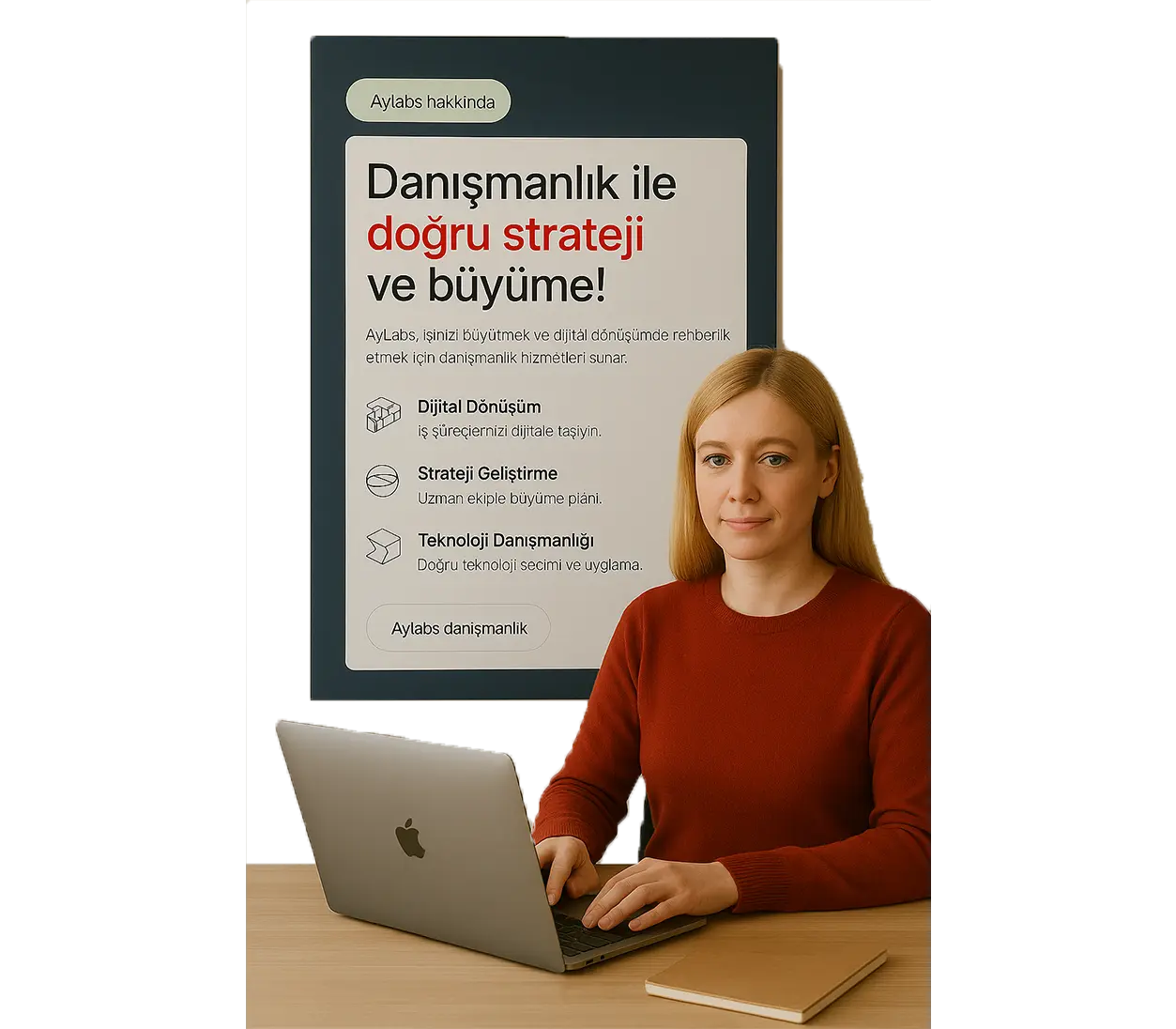 AyLabs danışmanlık